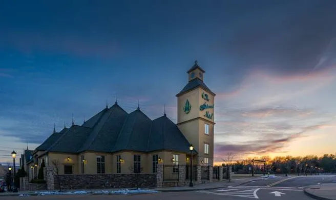 Top or Best Logo Design Agencies and Companies in Wildwood, Missouri