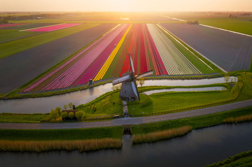 Top 5 Virtual Background Design Agencies in the Netherlands
