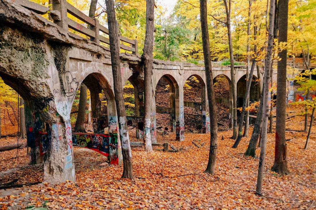 Top or Best X (Twitter) Management Agencies and Companies in Euclid, Ohio