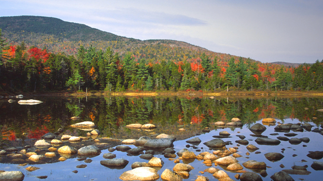 Top or Best Postcard Design Agencies and Companies in Bedford, New Hampshire