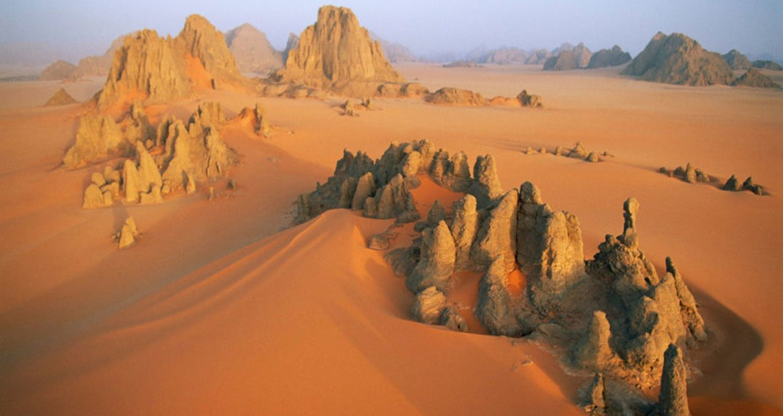 Top or Best Talent Management Agencies and Companies in Chad
