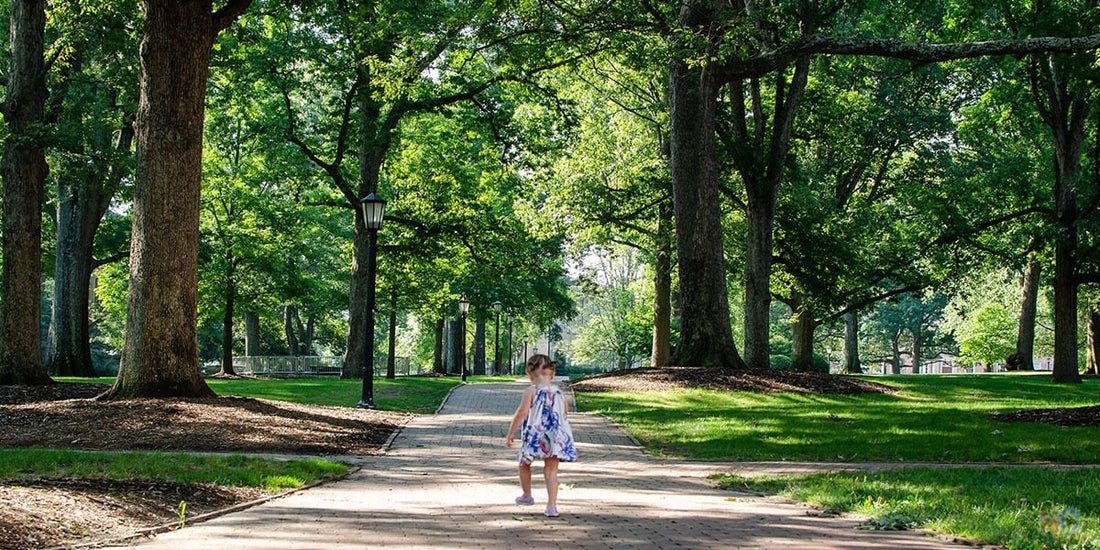 Top or Best Flyer Design Agencies and Companies in Chapel Hill, North Carolina