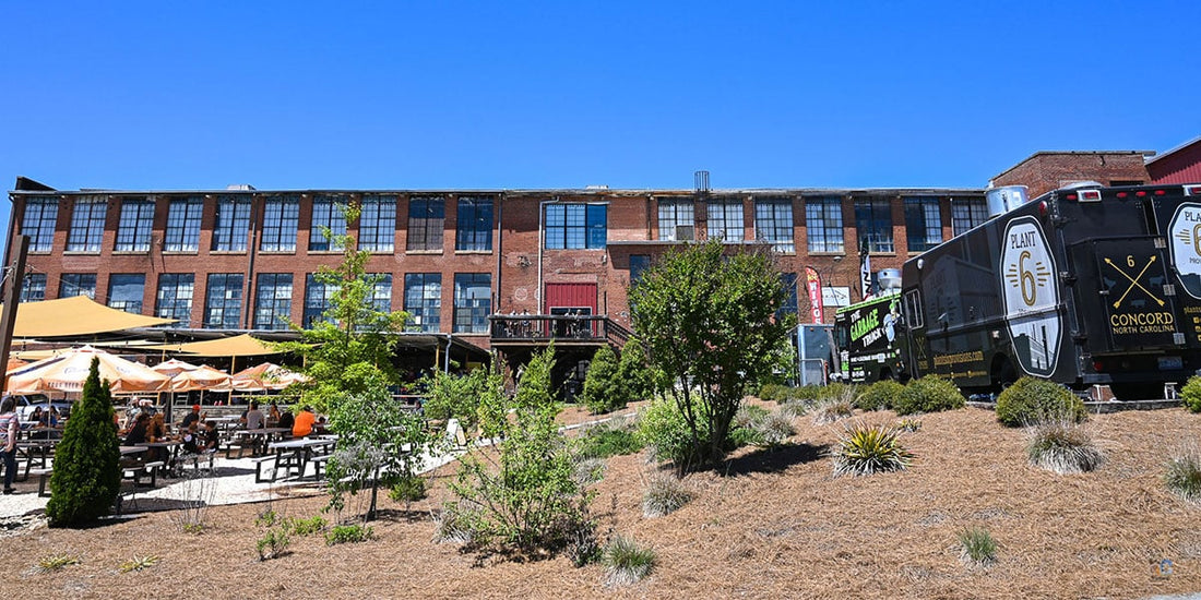 Top or Best Direct Mail Design Agencies and Companies in Concord, North Carolina