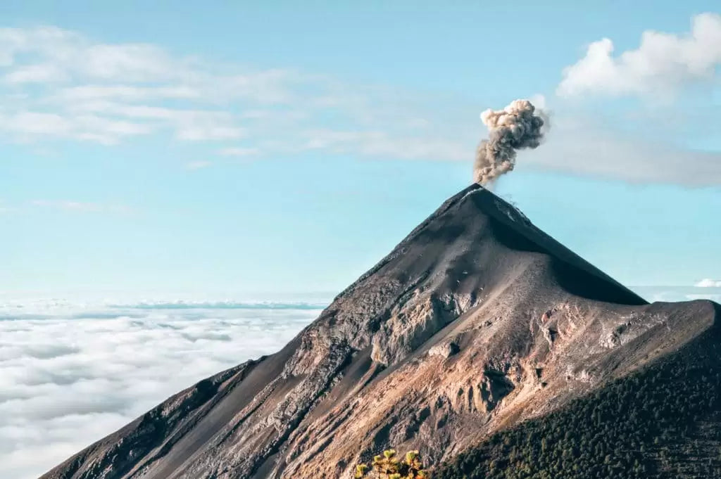 Top or Best Athlete Management Agencies and Companies in Guatemala