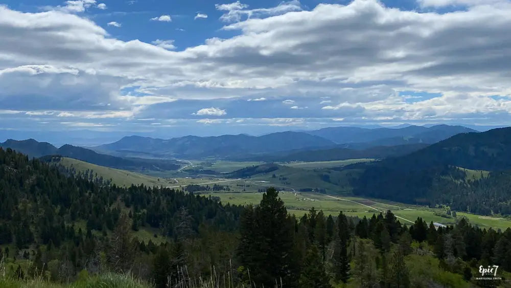 Top or Best YouTube Management Agencies and Companies in Helena Valley Southeast, Montana