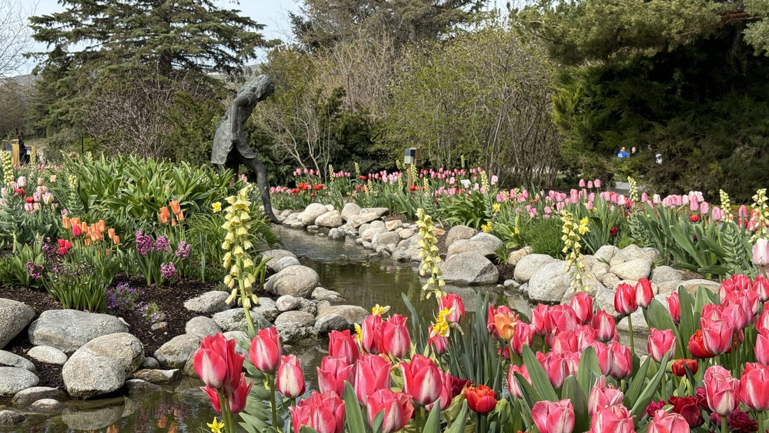 Top or Best AR Filter & Lens Agencies and Companies in Lehi, Utah