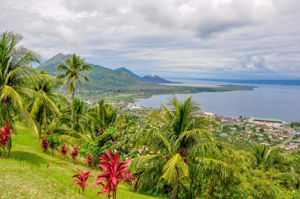 Top 5 Portrait and Caricature Design Agencies in Papua New Guinea