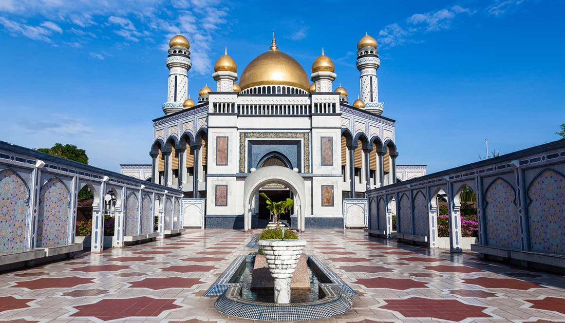 Top or Best Athlete Management Agencies and Companies in Brunei