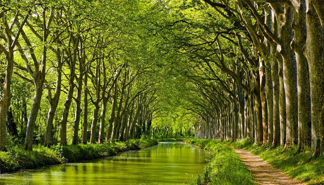 Top or Best Copywriting Agencies and Companies in Toulouse, France