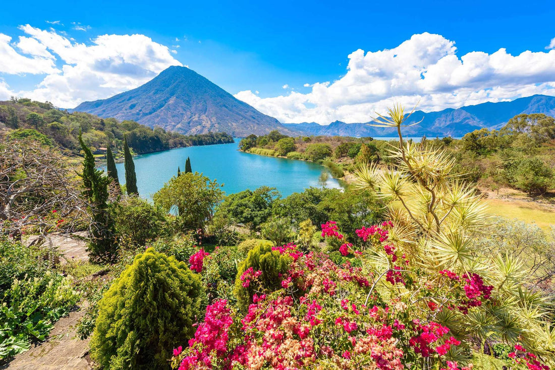Top 5 Logo Design Agencies in Guatemala