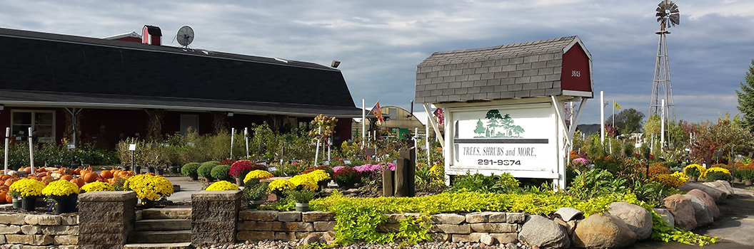 Top or Best Email Campaign Design Agencies and Companies in Bellevue, Nebraska