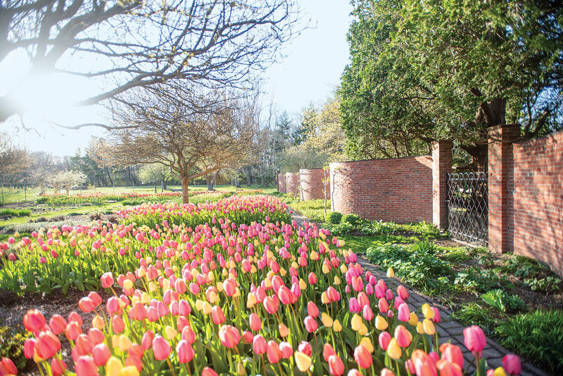 Top or Best Storyboard Agencies and Companies in Shreveport, Louisiana