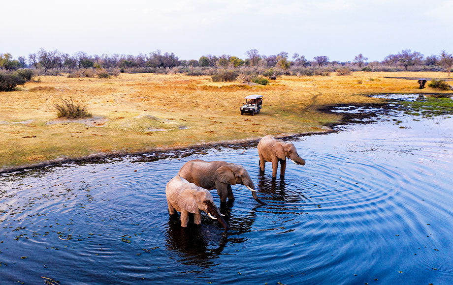 Top NFT Art Agencies in Botswana