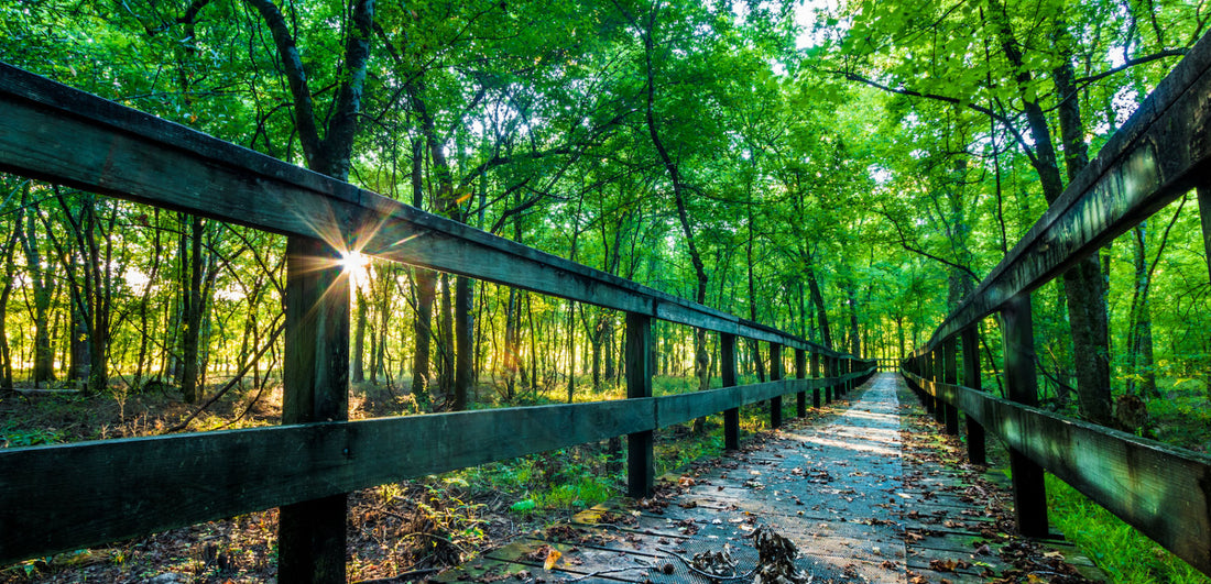 Best or Top Facebook Management Agencies and Companies in Tupelo, Mississippi