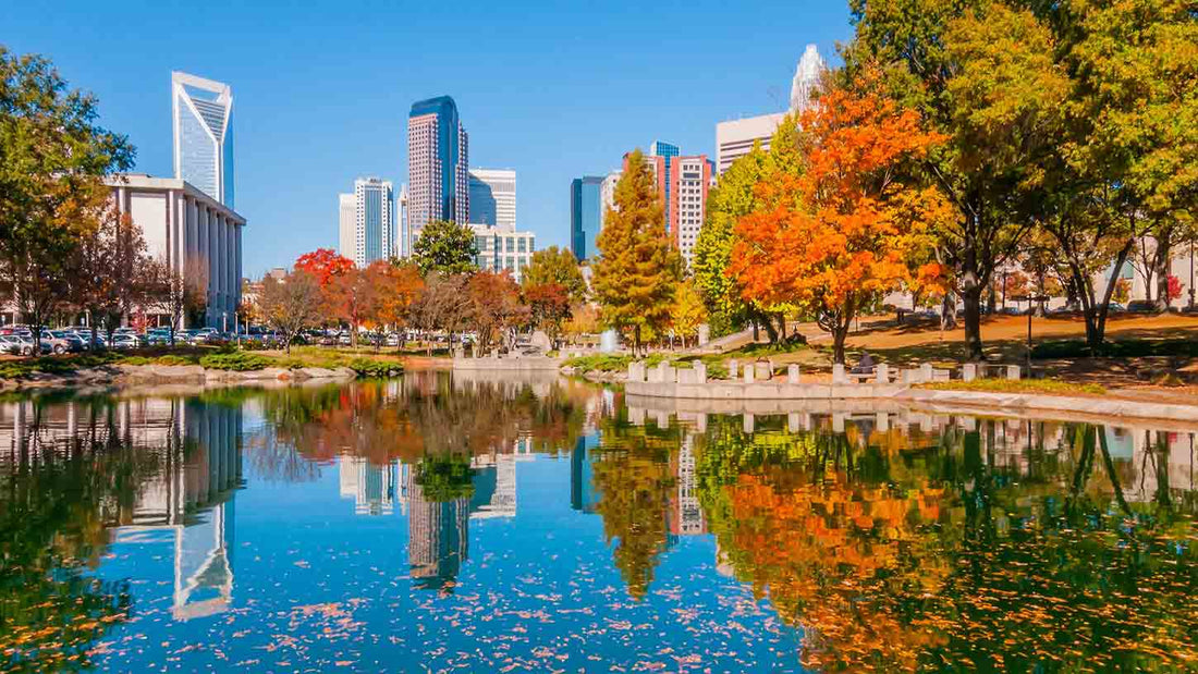 Top or Best Postcard Design Agencies and Companies in Concord, North Carolina