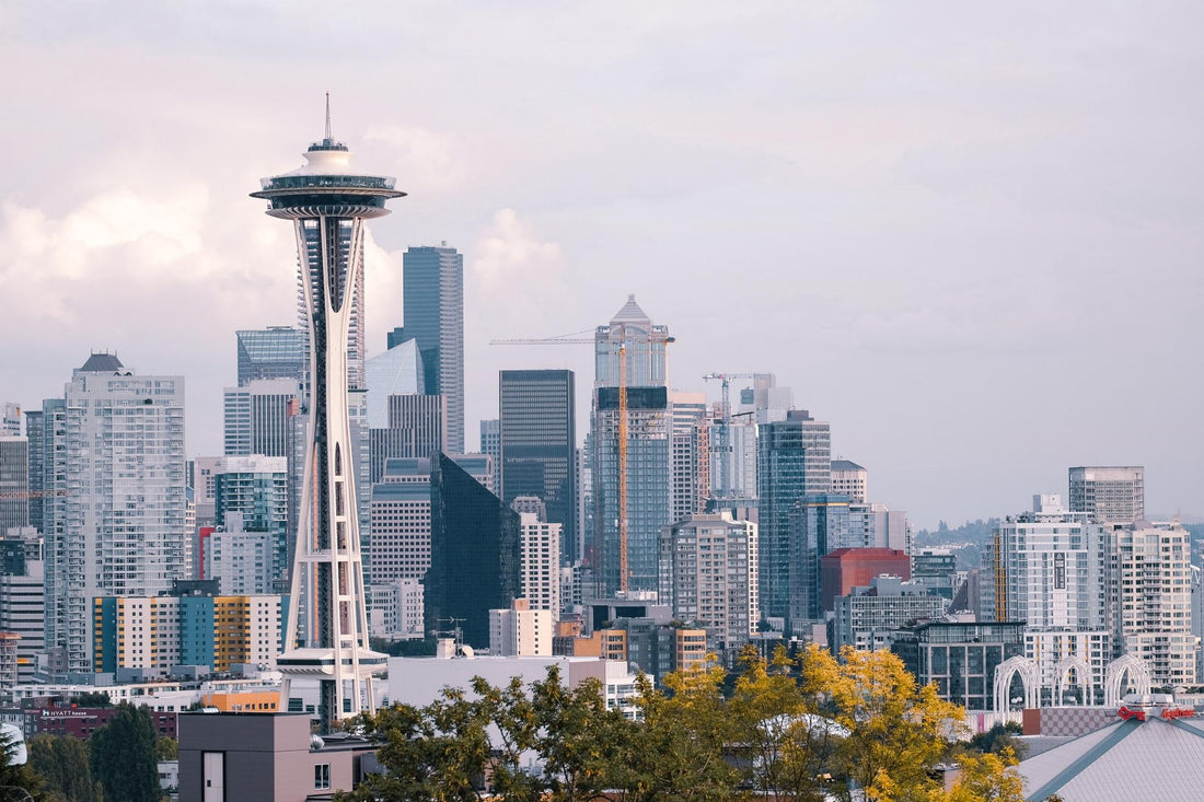 Top or Best Talent Management Agencies and Companies in Washington