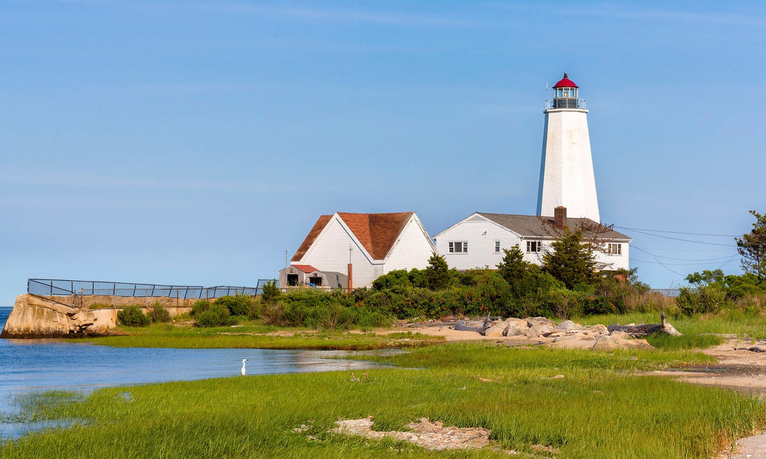 Best Mural Design Companies in Connecticut