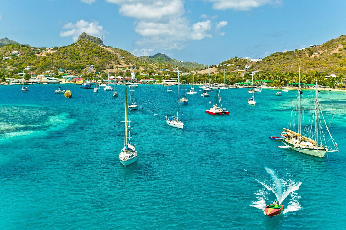Best Instagram Management Companies in Saint Vincent and the Grenadines