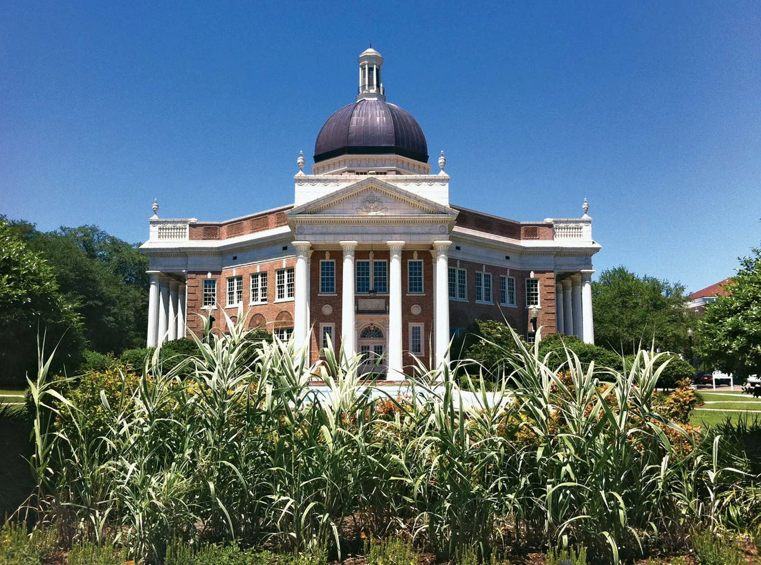 Top or Best Brand Identity Package Agencies and Companies in Hattiesburg, Mississippi