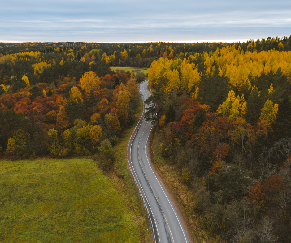 Top	Video Editing	Agencies in Minnesota