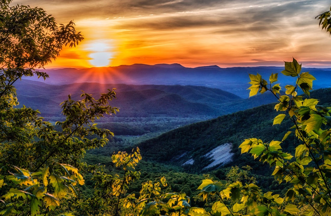 Best Graphics for Streamers Agencies in Virginia