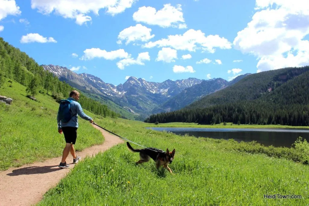 Top or Best Email Campaign Design Agencies and Companies in Centennial, Colorado