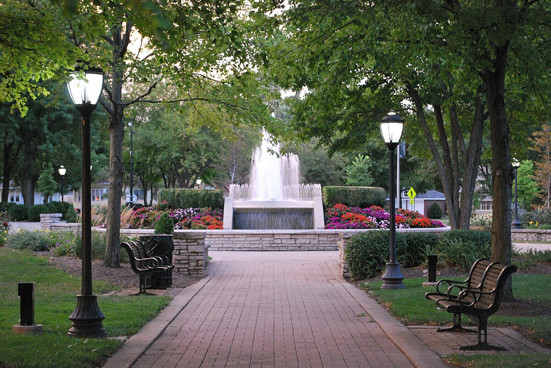 Top or Best Instagram Management Agencies and Companies in Arlington Heights, Illinois