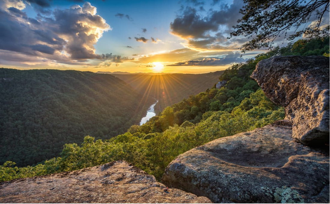 Best Postcard Design Agencies in Virginia