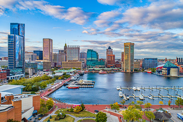 Top or Best Portrait & Caricature Agencies and Companies in Baltimore, Maryland