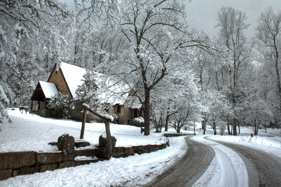 Top or Best Tattoo Design Agencies and Companies in Erlanger, Kentucky