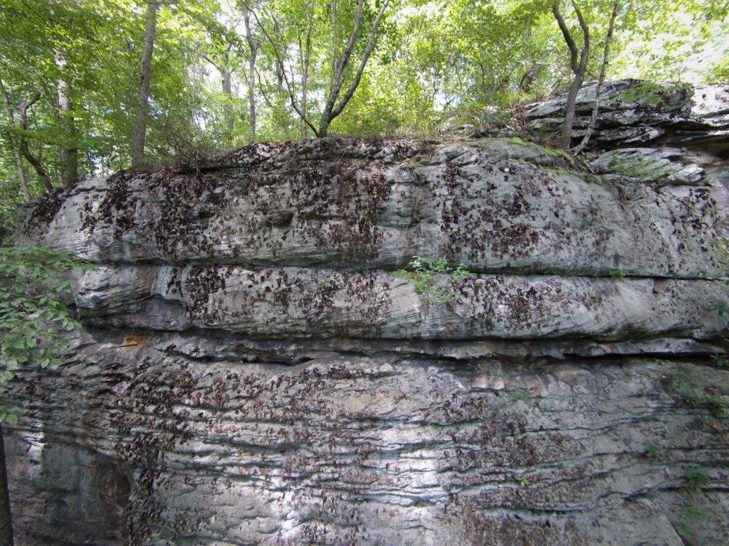 Top or Best Social Media Design Agencies and Companies in Oak Hill, West Virginia