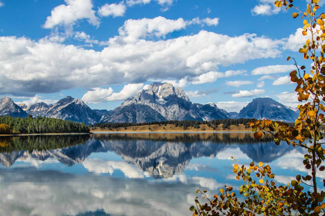 Top or Best Twitch Management Agencies and Companies in Riverton, Wyoming