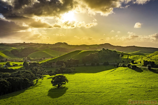 Top 5 Direct Mail Design Agencies in New Zealand