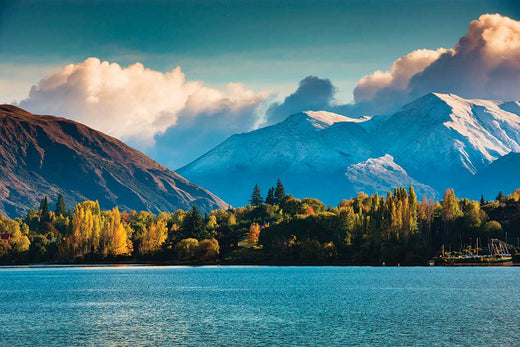 Top 5 Logo Animation Agencies in New Zealand