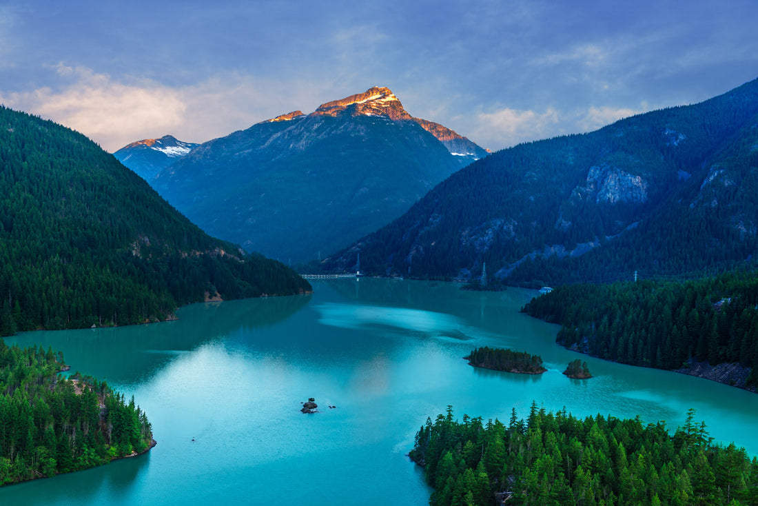 Top Animation & Motion Graphics Agencies in Washington