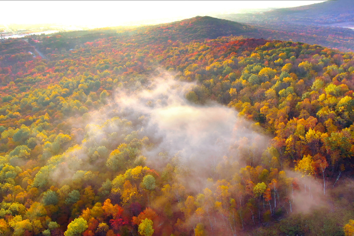 Top or Best Brand Identity Packages Agencies and Companies in Wausau, Wisconsin