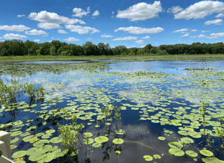 Top or Best App UI/UX Design Agencies and Companies in Elkhart, Indiana