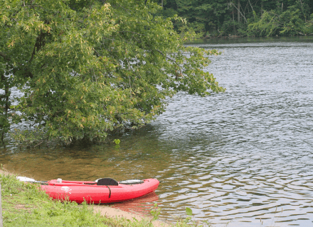 Top or Best Menu Design Agencies and Companies in Elkhart, Indiana