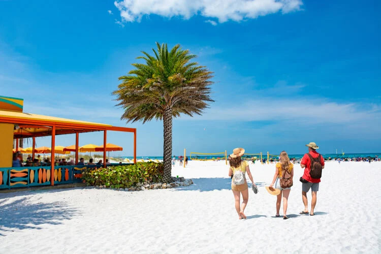 Top or Best Web and Mobile Design Agencies and Companies in Clearwater, Florida