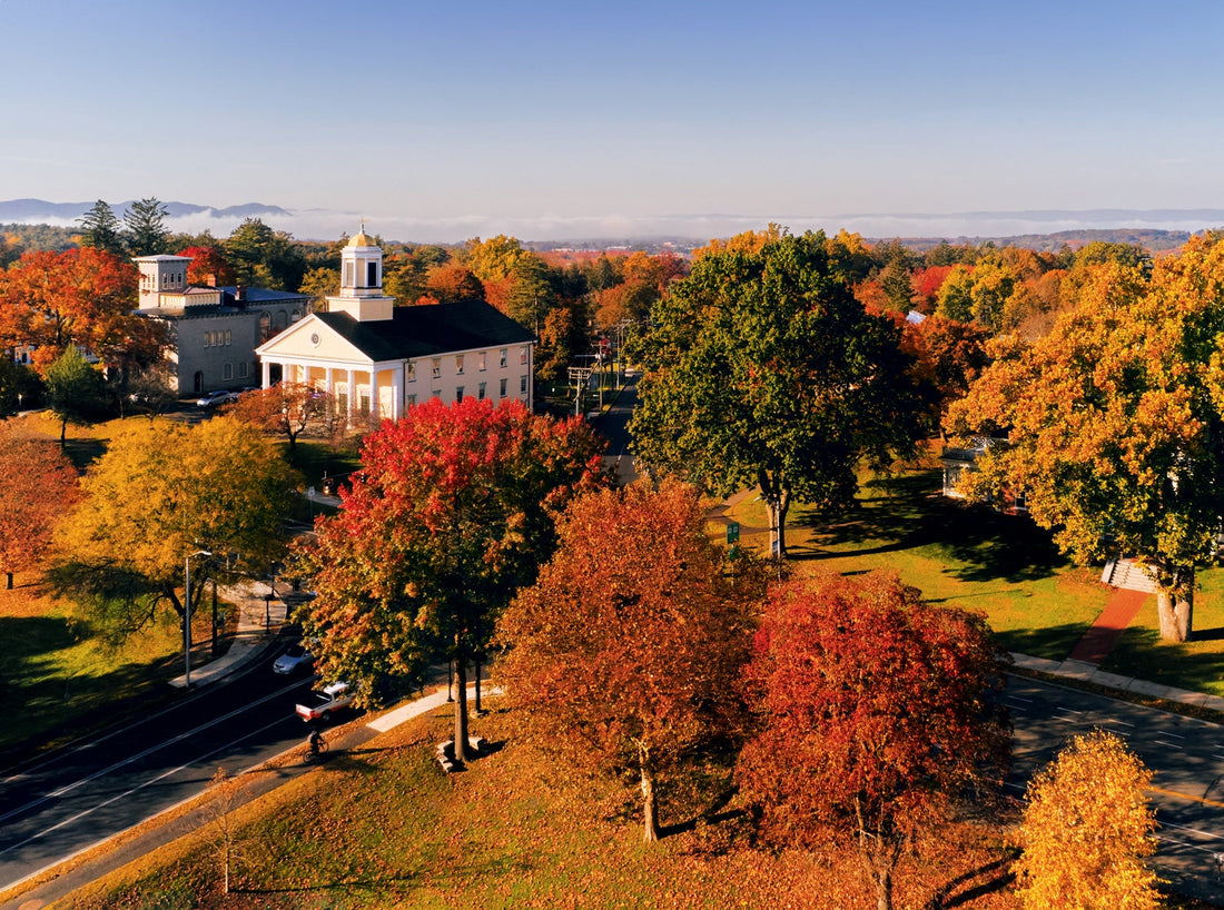 Top or Best Website Design Agencies and Companies in Amherst, New York