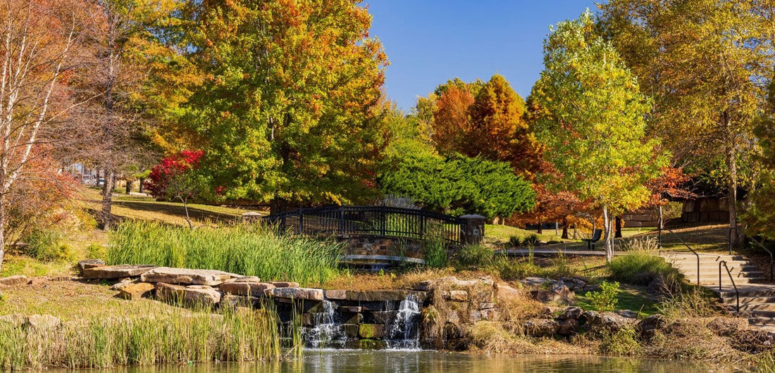 Top or Best Social Media Management Agencies and Companies in Broken Arrow, Oklahoma