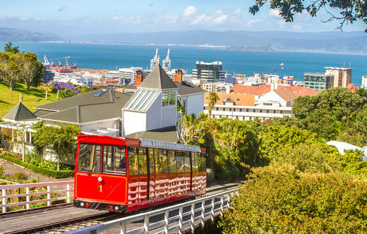Top 5 Custom Graphics for Videos Agencies in New Zealand