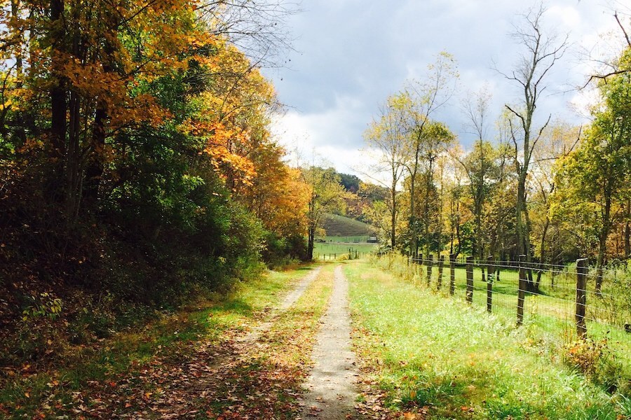 Top or Best Social Media Management Agencies and Companies in Wheeling, West Virginia