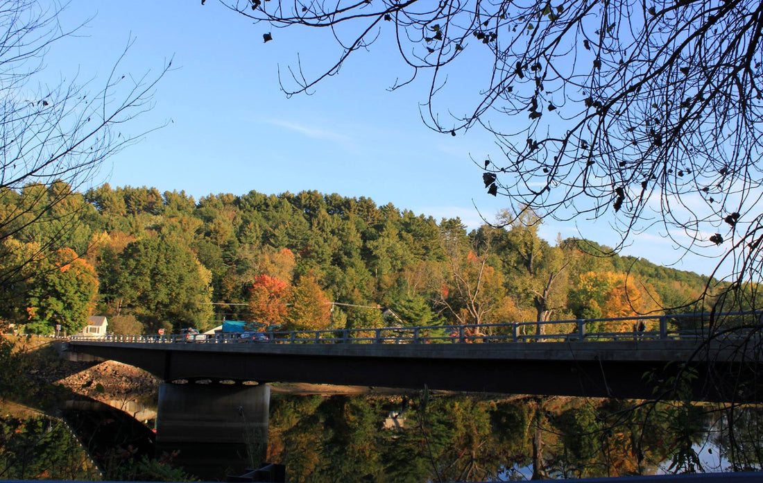 Top or Best Logo Design Agencies and Companies in Milton, Vermont