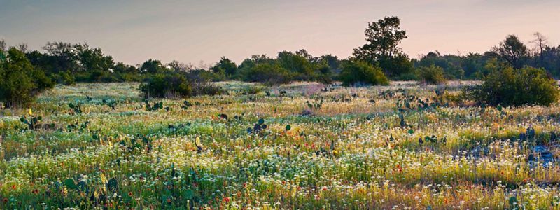 Top or Best Social Media Management Agencies and Companies in Moore, Oklahoma