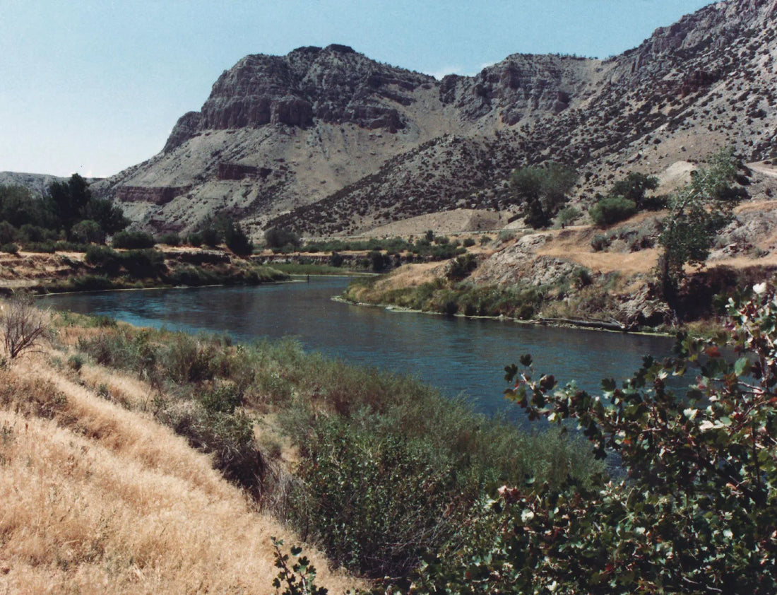 Top or Best Social Media Management Agencies and Companies in Riverton, Wyoming