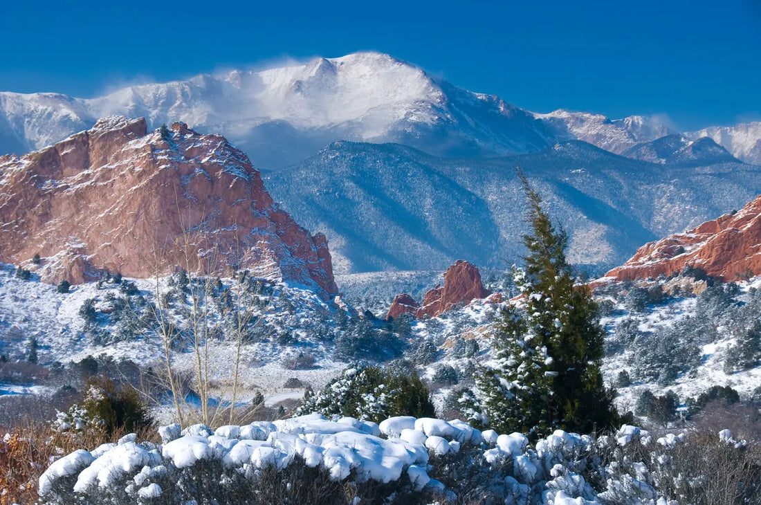 Top or Best Talent Management Agencies and Companies in Colorado Springs, Colorado