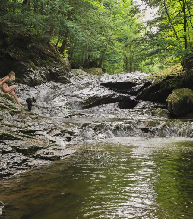 Top or Best Virtual Background Design Agencies and Companies in Essex, Vermont