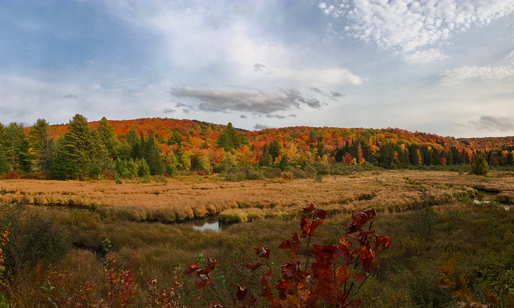 Top or Best Facebook Management Agencies and Companies in Milton, Vermont