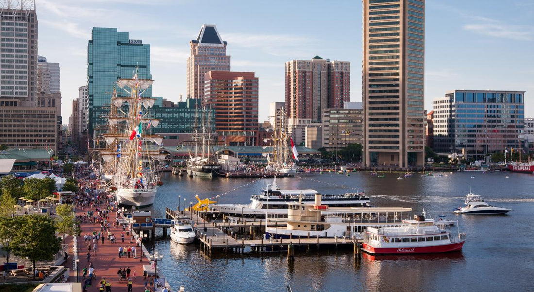 Best NFT Art Agencies in Maryland